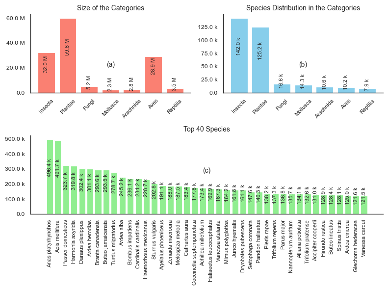 Category Distribution