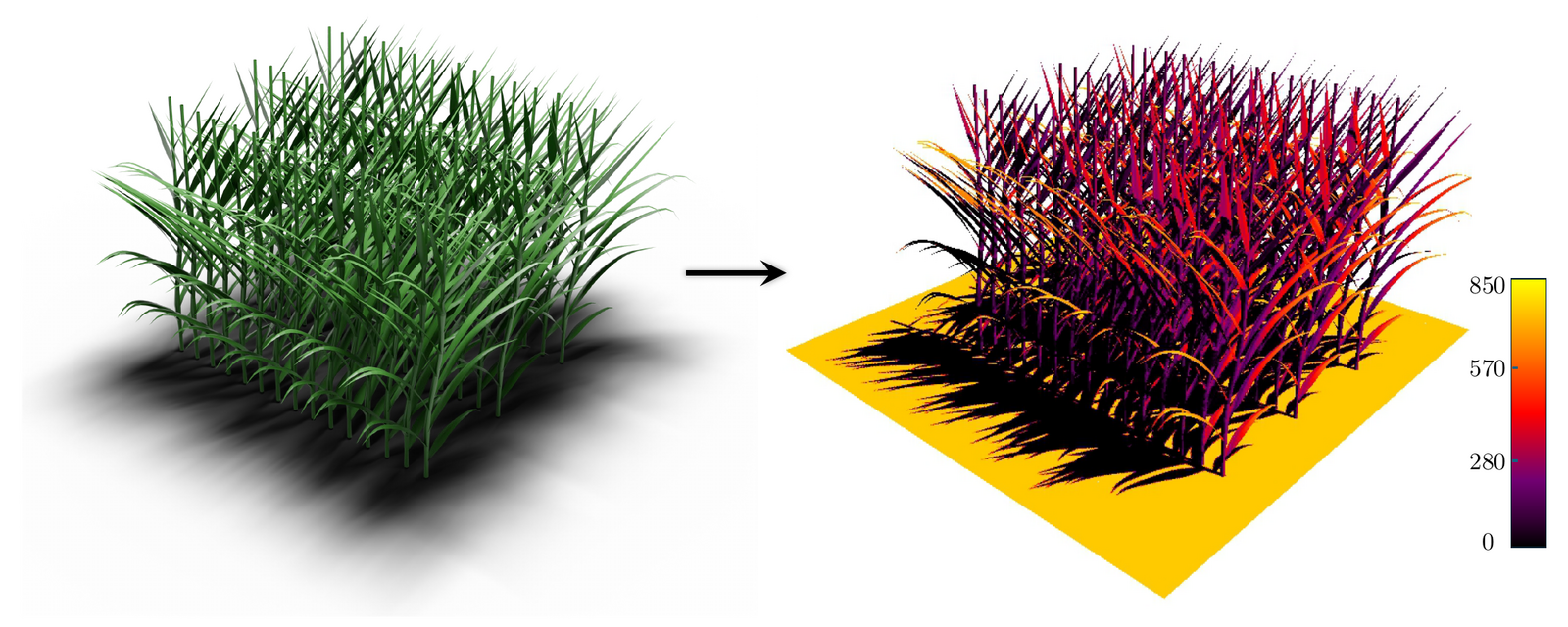 HELIOS PAR simulation for a virtual maize field: green render and PAR interception heatmap