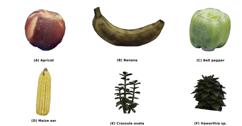 Second Image