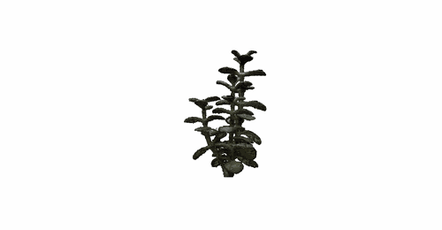 Sample Gif 1