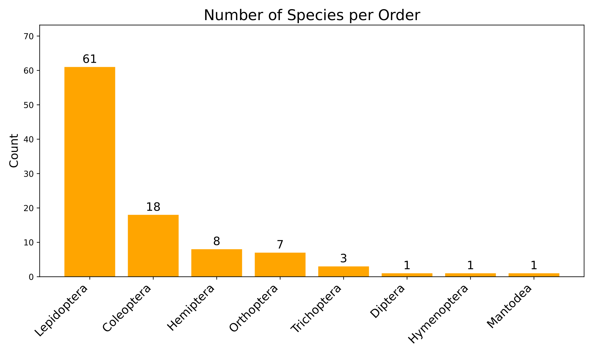 Order Count